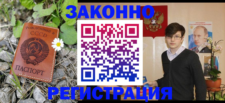 прописка законно в Мурманске